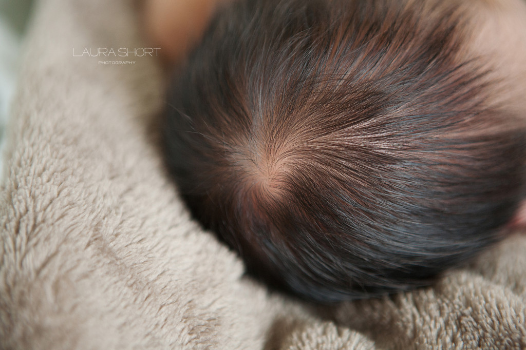 baltimore-newborn-photographer (8)