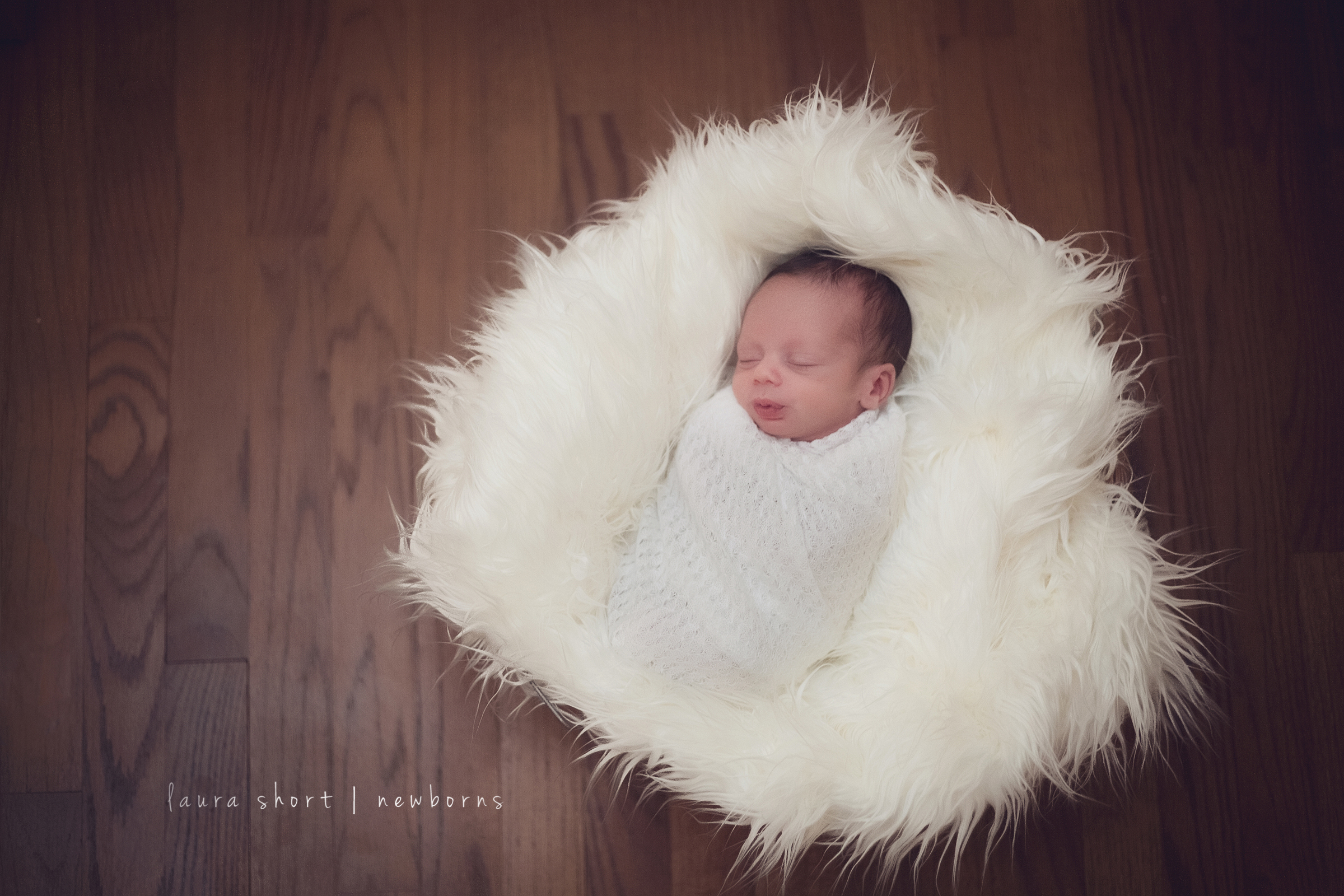 arnold-newborn-photographer