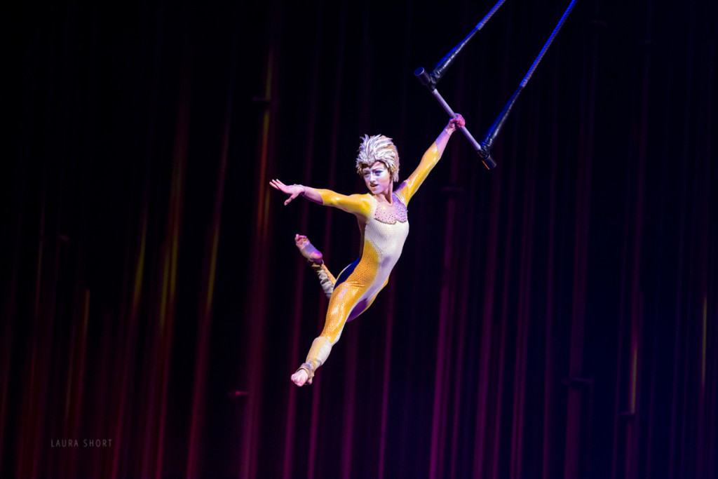 cirque-du-soleil-varekai