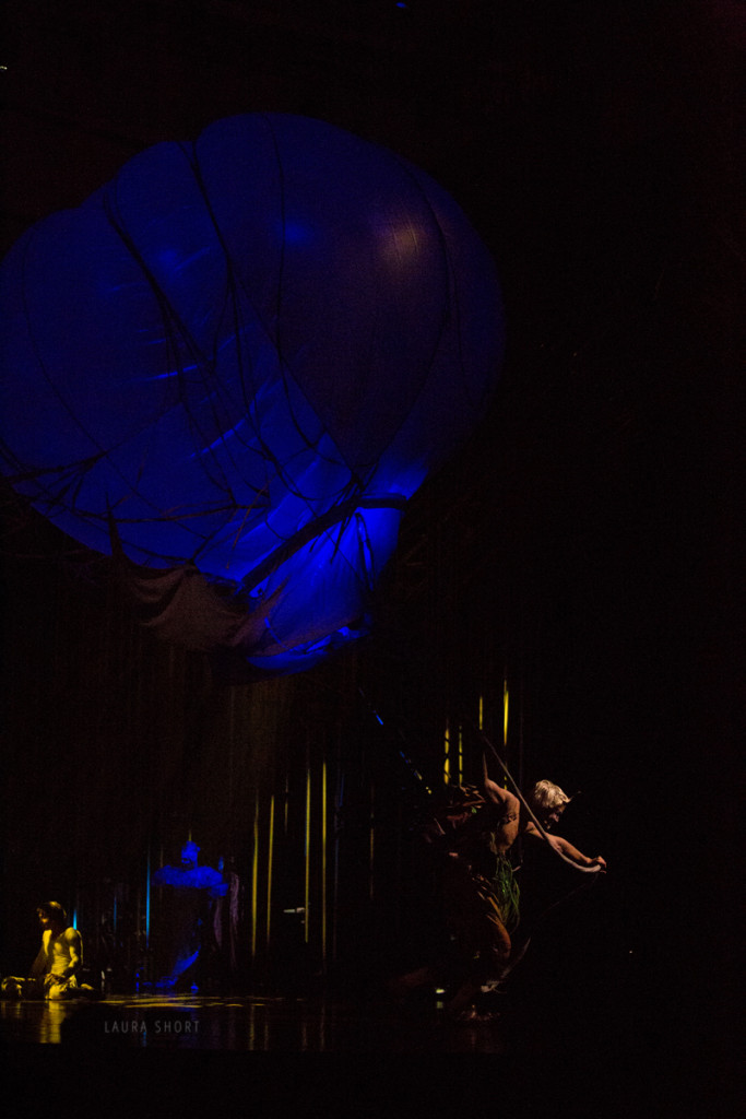 cirque-du-soleil-varekai