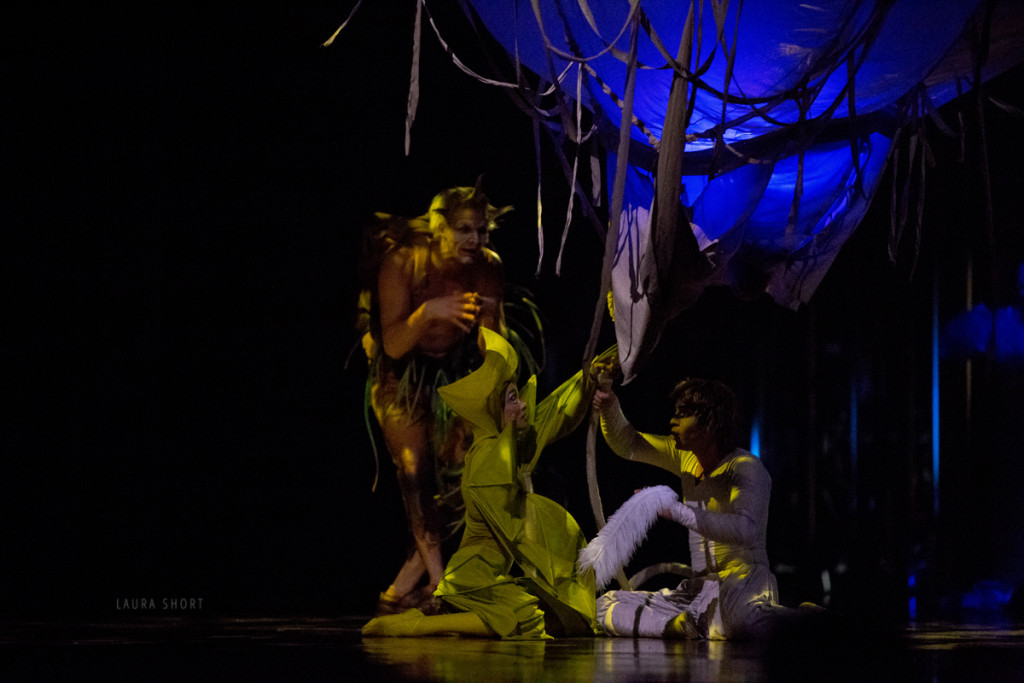 cirque-du-soleil-varekai