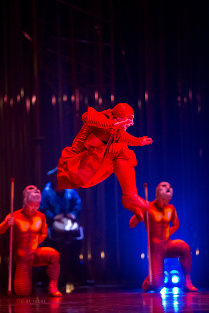 cirque-du-soleil-varekai